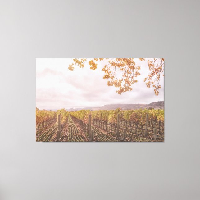 Lienzo Grapevines en otoño (Anverso)