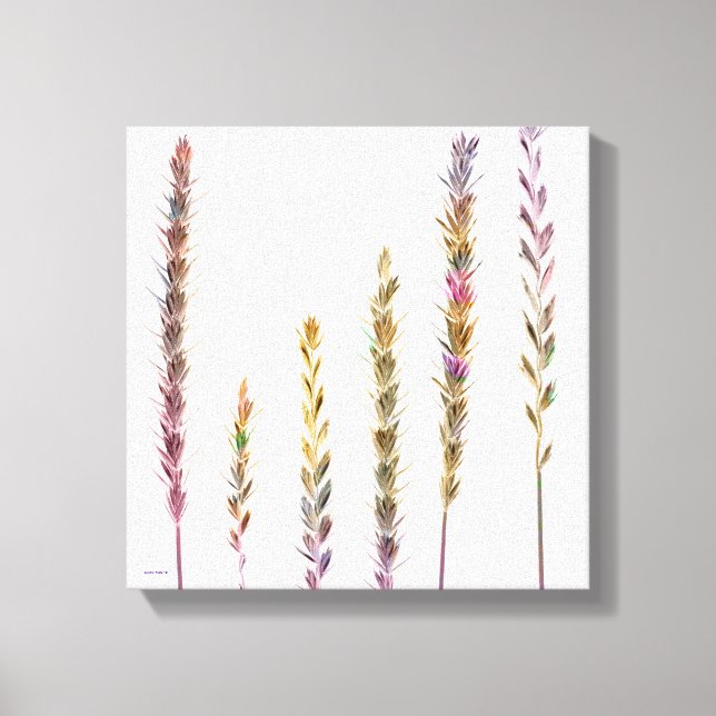 Lienzo Grasas coloreadas (Anverso)