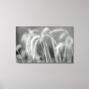 Lienzo Grasas Salvajes - Negro Y Blanco