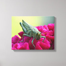 Lienzo Grasshopper on Cockscomb