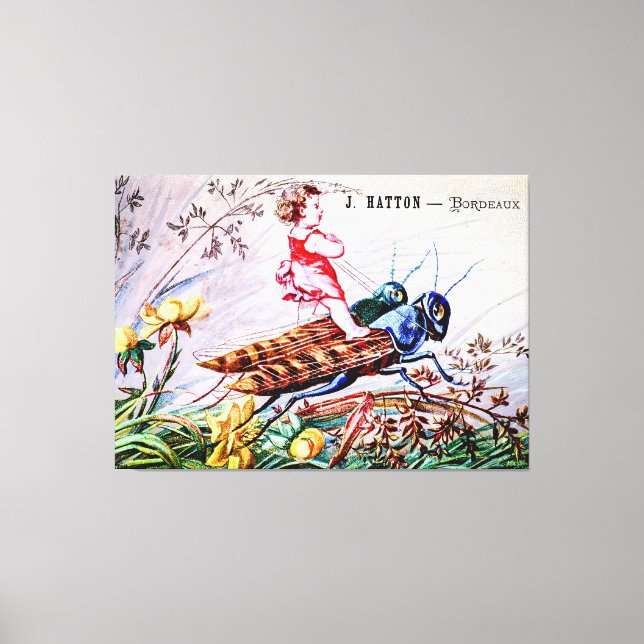 Lienzo Grasshoppers para niños (Anverso)