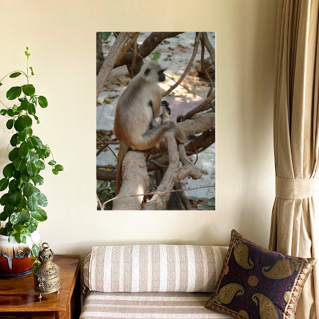 Lienzo Gray Langur - descanse (Subido por el creador)