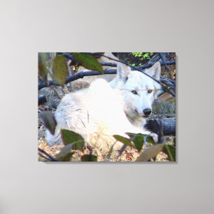 Lienzo Gray Wolf Canvas