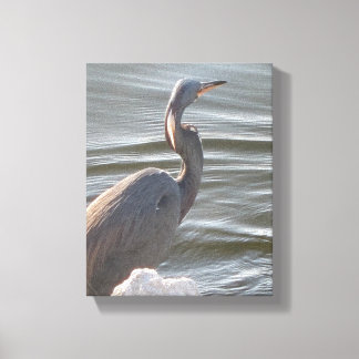 Lienzo Great Blue Heron by the Water
