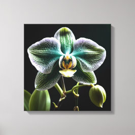 Lienzo Green and White Orchid