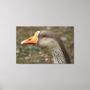 Lienzo Greylag Swan Goose Cross