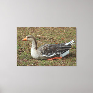Lienzo Greylag Swan Goose Cross