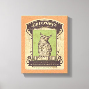 Lienzo Grimoires Owl