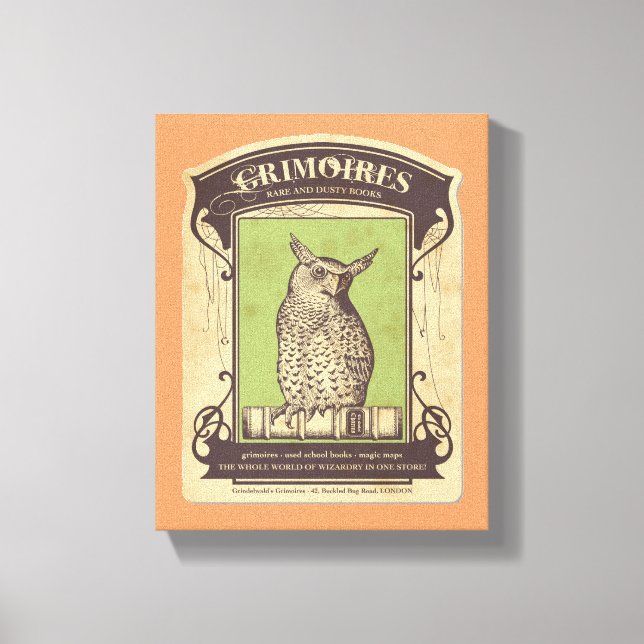 Lienzo Grimoires Owl (Anverso)