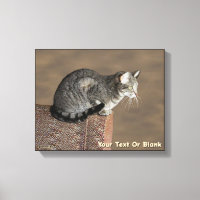 Gris ahumado gato de tabulación