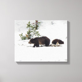 Lienzo Grizzlies in the Snow Stretched Canvas