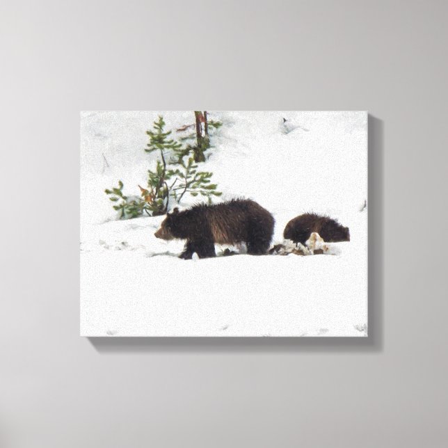 Lienzo Grizzlies in the Snow Stretched Canvas (Anverso)