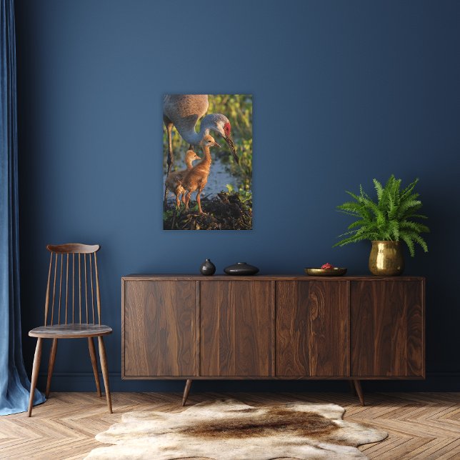 Lienzo Grúa arenosa con pollitos, Florida (Subido por el creador)