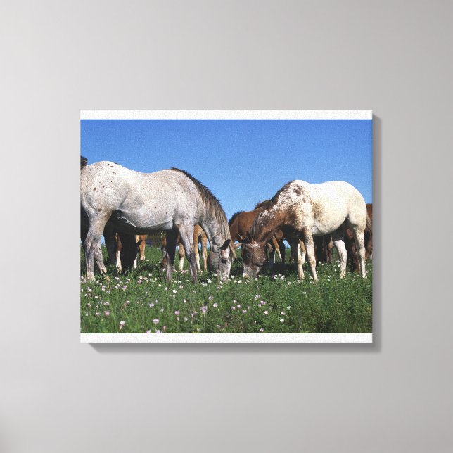 Lienzo Grupo de Caballos Appaloosa (Anverso)