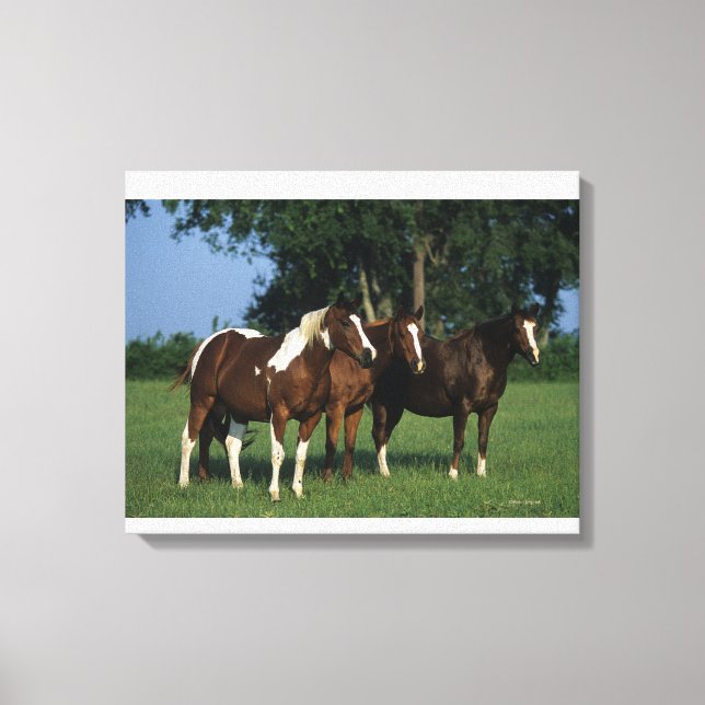 Lienzo Grupo de Caballos de Pintado Permanente (Anverso)