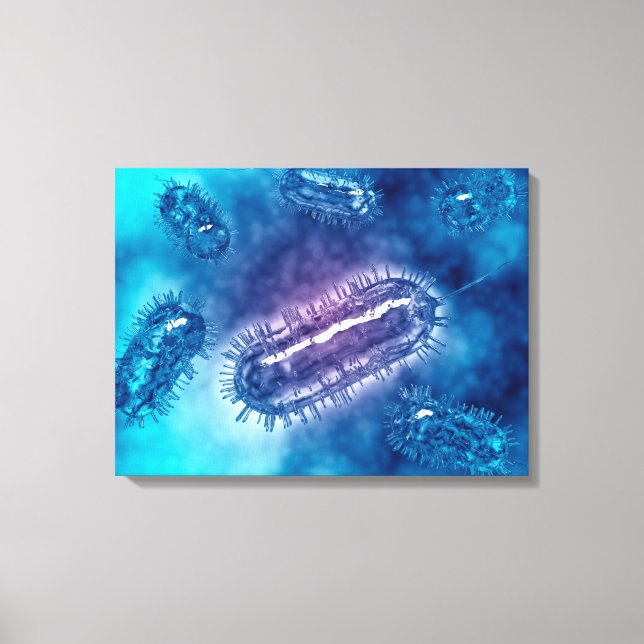 Lienzo Grupo De Células Bacterianas De Escherichia Coli 1 (Anverso)