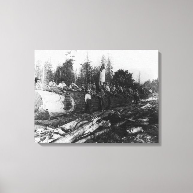 Lienzo Grupo de Lumberjacks en grandes fotografías de tro (Anverso)