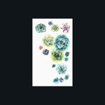 Lienzo Grupo de Suculentos<br><div class="desc">Grupo de Suculentos. Artista: Grace Popp. ID de la imagen: 148320Z.</div>