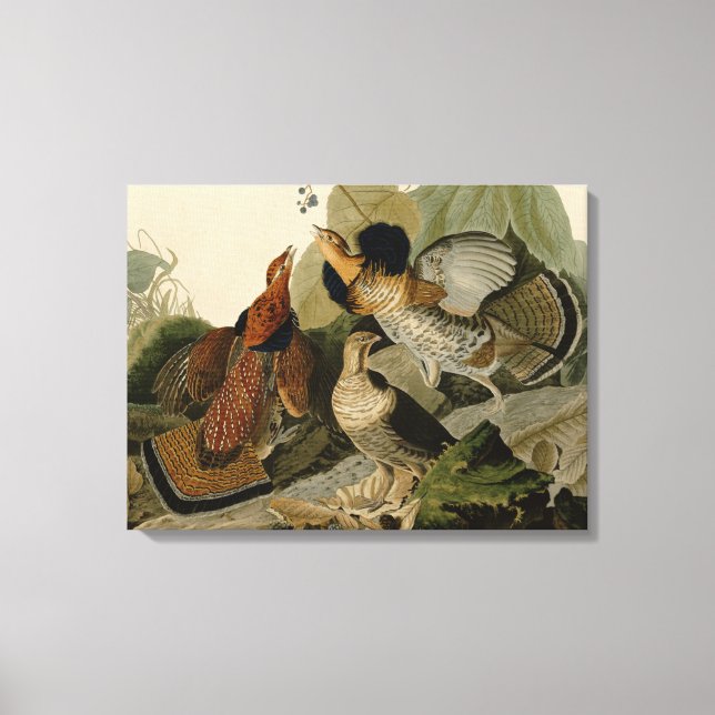 Lienzo Grupo espumoso de John Audubon (Anverso)