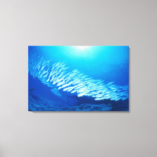 Lienzo Grupo grande de natación del Goatfish de la truch