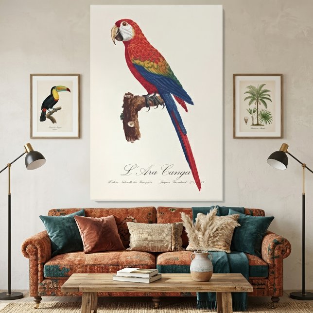 Lienzo Guacamayo Escarlata o Guacamayo Macao, Ara macao (Scarlet Macaw or Red-Breasted Macaw, Ara macao. Canvas Print)