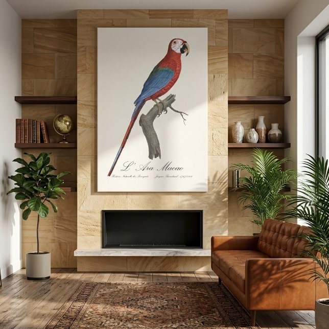 Lienzo Guacamayo rojo y verde, Ara chloropterus (Red-and-green Macaw, Ara chloropterus. Canvas Print)
