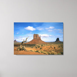 Lienzo Guantes de Monument Valley coloridos en Utah EE. U