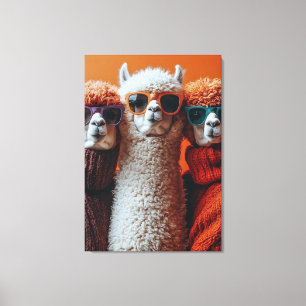 Lienzo Guay Alpacas en sudaderos y gafas de sol