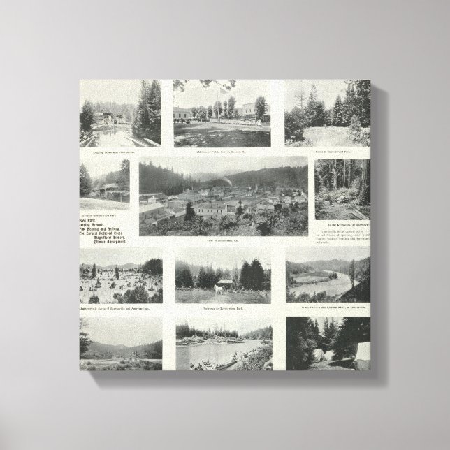 Lienzo Guerneville, California (Anverso)