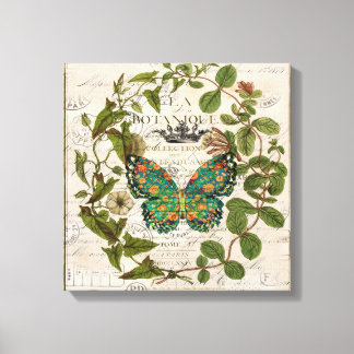 Lienzo guiones bohemios mariposa botánica francesa
