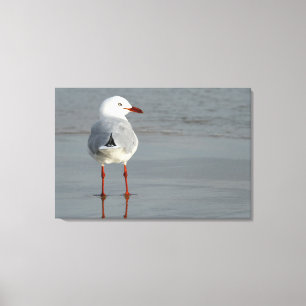 Lienzo GULA DE PLATA 24x36