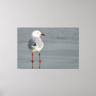 Lienzo GULA DE PLATA 40x60