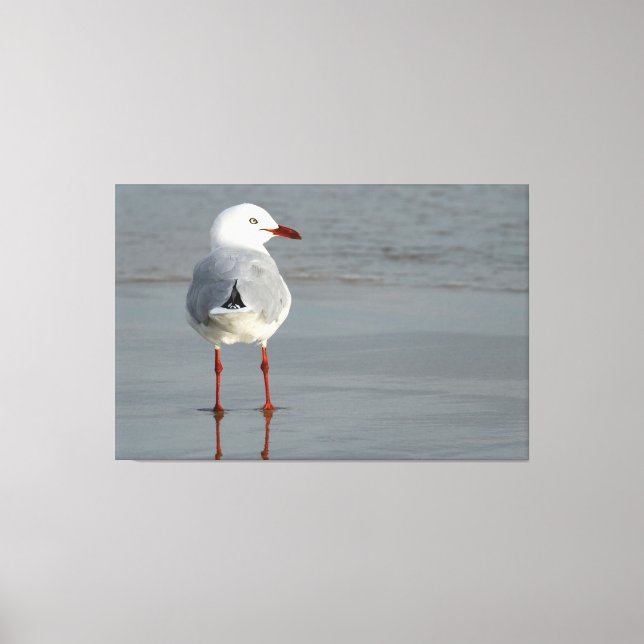 Lienzo GULA DE PLATA 40x60 (Anverso)