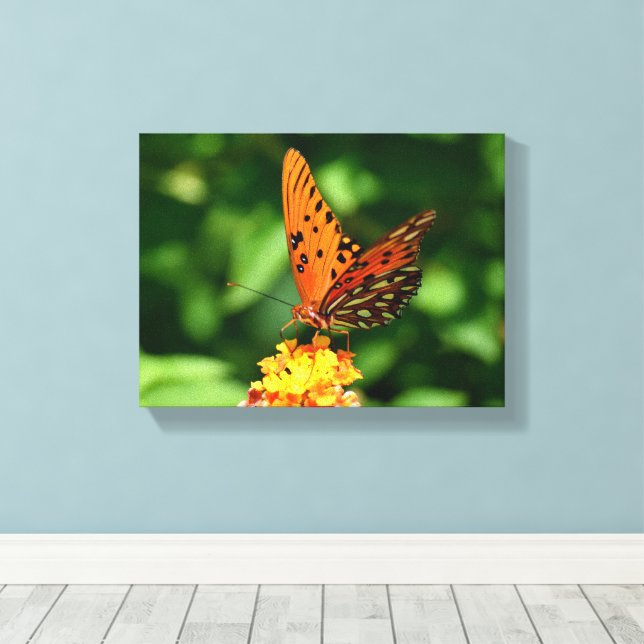 Lienzo Gulf fritillary Butterfly Stretched Canvas Print (Insitu (piso de madera))