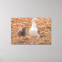 Lienzo Gull y pollito