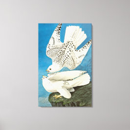 Lienzo Gyrfalcons, alias Gerfalconos, por John James Audu