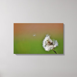 Lienzo hacer un deseo,