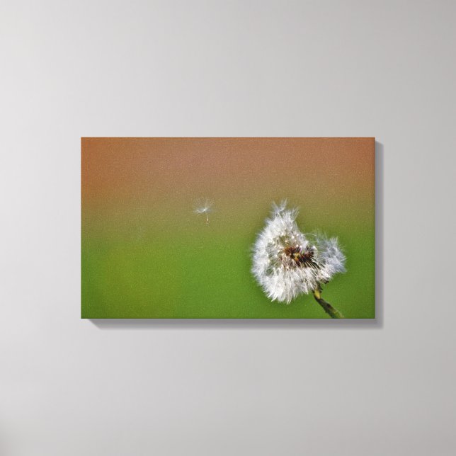 Lienzo hacer un deseo, (Anverso)