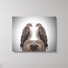 Lienzo Halcón en un poste