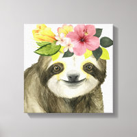 Halo tropical | Sweet Sloth