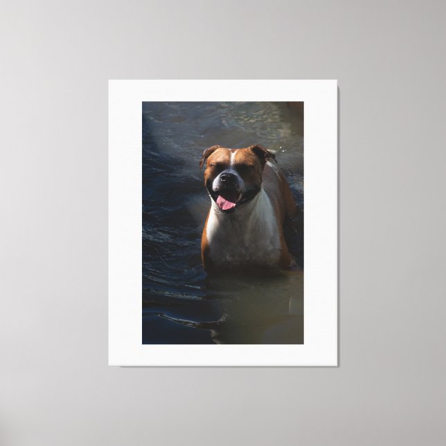 Lienzo Happy Dog Swimming (Anverso)