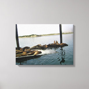 Lienzo Harbour Seals, Morro Bay, California