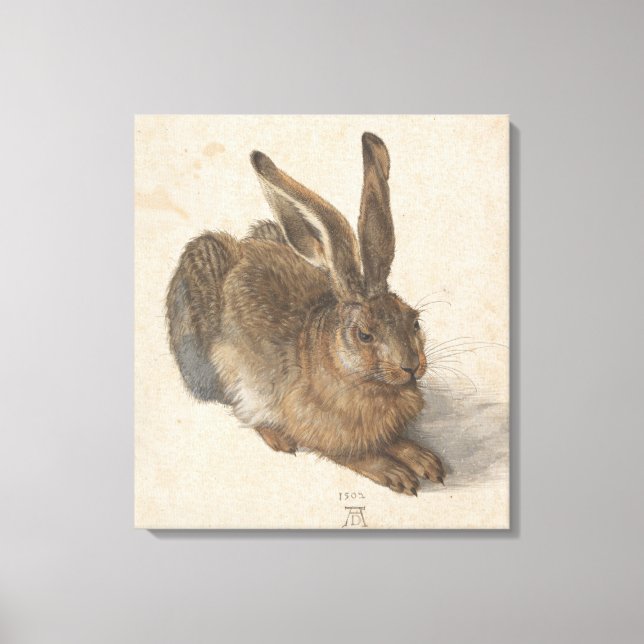Lienzo Hare (de Albrecht Dürer) (Anverso)