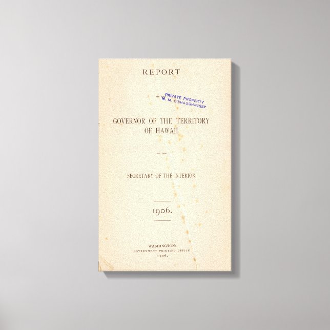 Lienzo Hawái 3 (Anverso)