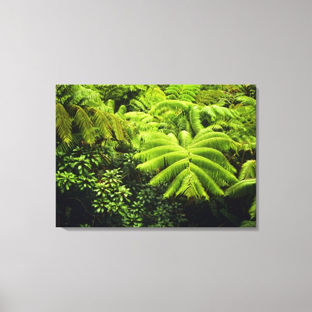 Lienzo Hawái, Isla Grande, Exuberante vegetación tropical (Anverso)