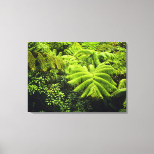 Lienzo Hawái, Isla Grande, Exuberante vegetación tropical