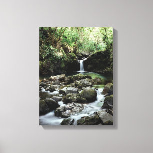 Lienzo Hawái, Maui, Una cascada fluye hacia la Piscina Az