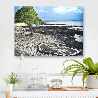 Hawaii Black Sand Beach y Coral "Love" Heart Photo