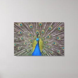 Lienzo Hawaii Peacock