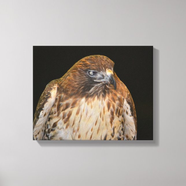 Lienzo Hawk Power Animal (Anverso)